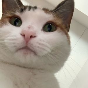 Meet your Posher, Weitian